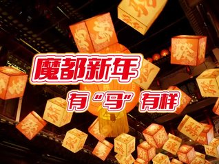 适应新利国际平台最新版下载民主法治建