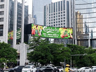 它们在寻找新的生存方式